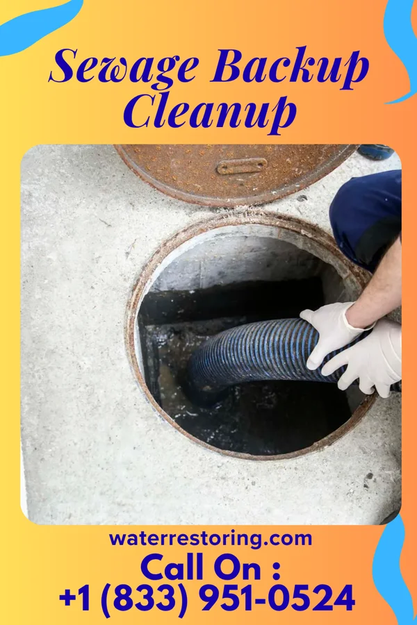 Sewage Backup Cleanup in Holliday, TX