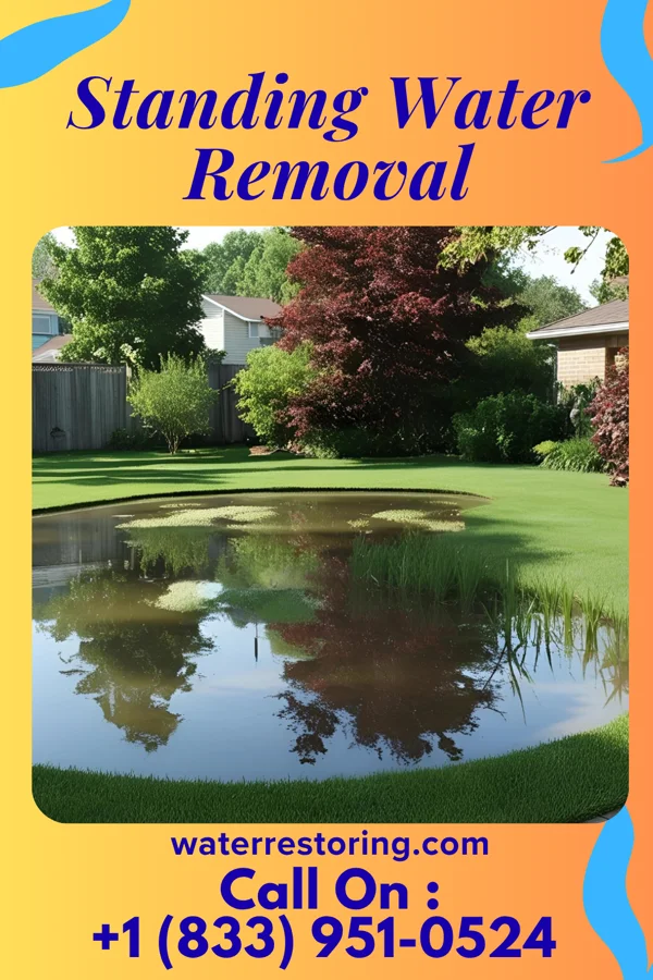 Standing Water Removal in Holliday, TX